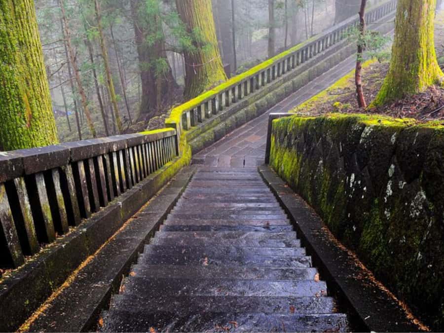 From Tokyo: Private Nikko World Heritage Sights One Day Trip - Lake Chuzenji and the mountain road