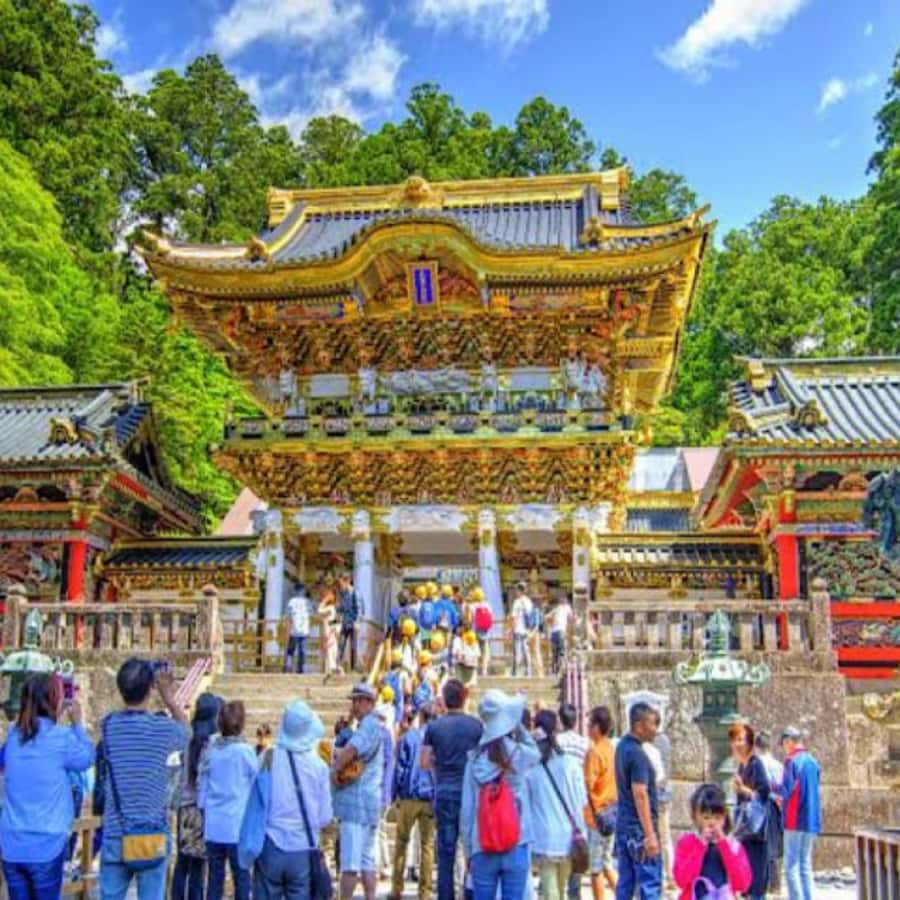 From Tokyo: Private Nikko World Heritage Sights One Day Trip - The value of a driver who adapts