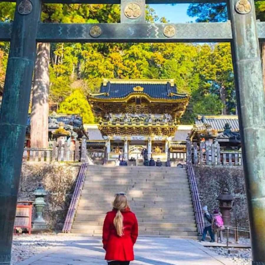 From Tokyo: Private Nikko World Heritage Sights One Day Trip - What the 10-hour schedule feels like