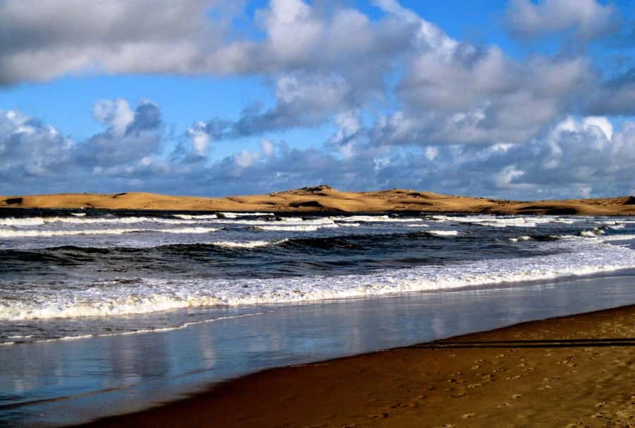 From Walvis Bay: Sandwich Harbour World Heritage Site - The 4x4 run toward Sandwich Harbour