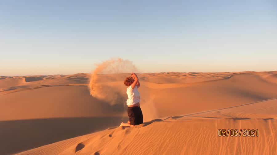 From Walvis Bay: Sandwich Harbour World Heritage Site - Sandboarding, animal sightings, and the ride home