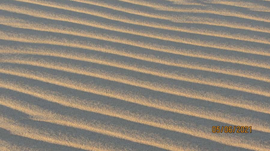 From Walvis Bay: Sandwich Harbour World Heritage Site - Who will enjoy this half-day outing?