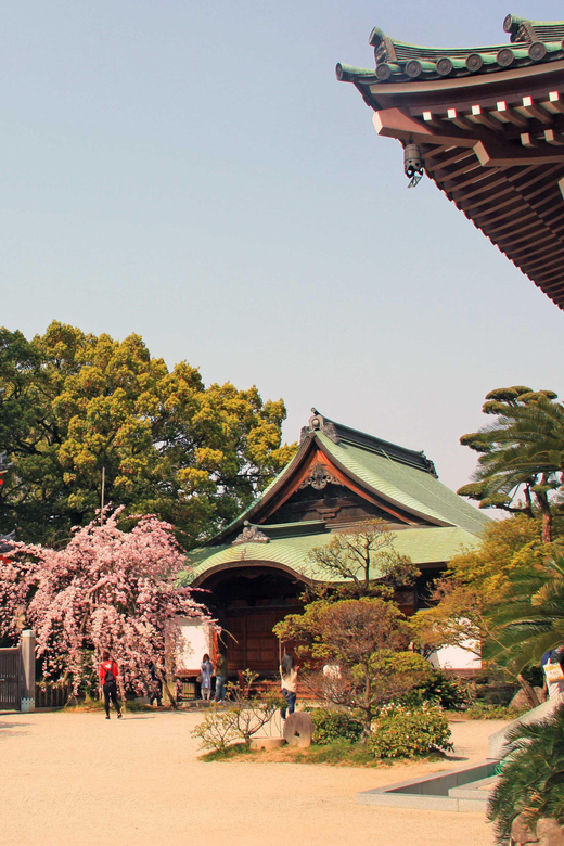 Fukuoka Essentials: History, Culture, & Charms - Tochoji Temple: a second Buddhist viewpoint