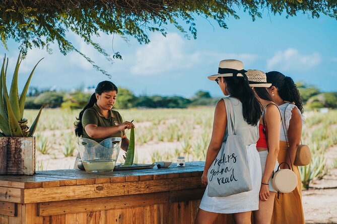 Full-Day Aruba History and Must-See Landmarks Tour - A practical way to see Aruba in one day