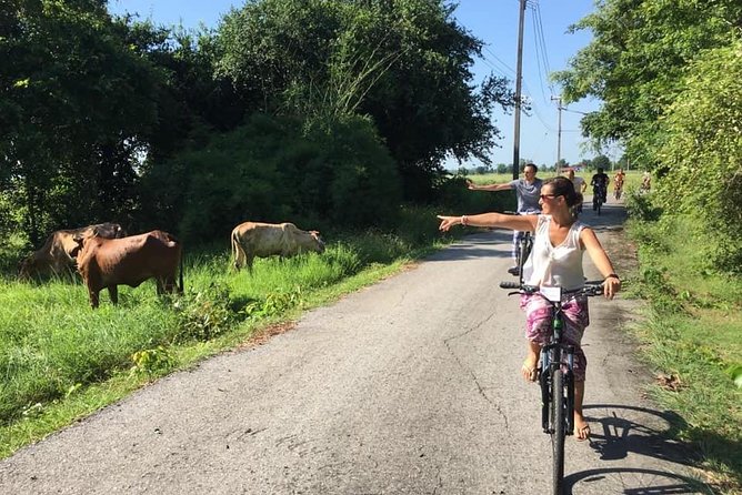 Full Day Cycling tour to Sukhothai Historical Park - Wat Chang Lom, Wat Sa Si, and the central ruins