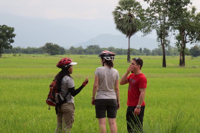 Full Day Cycling tour to Sukhothai Historical Park - Food, water, and the value of $53.78
