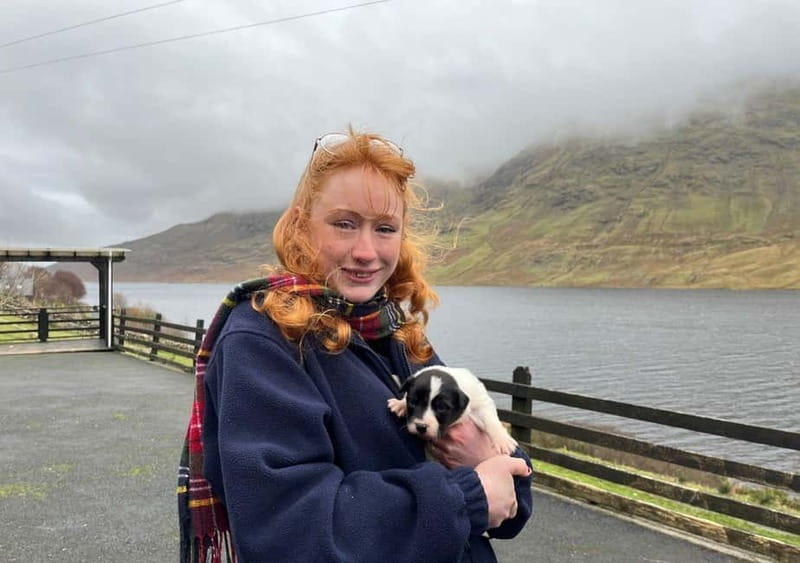 Galway: Connemara, Sheepdog Show and Medieval Castle Tour - Key points to know before booking