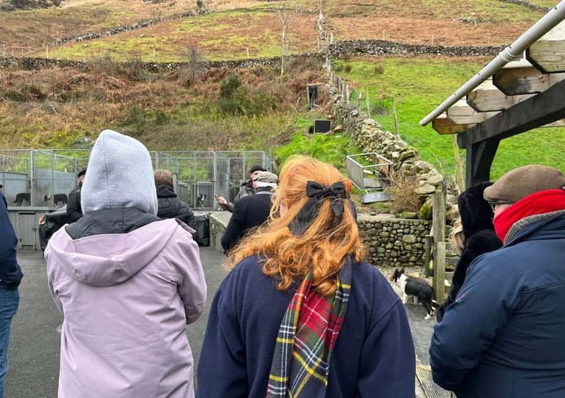 Galway: Connemara, Sheepdog Show and Medieval Castle Tour - Who will get the most from this tour?