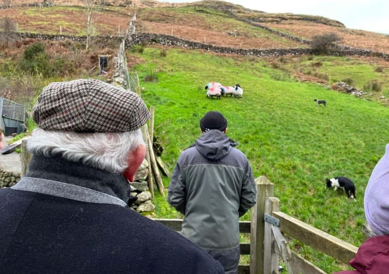 Galway: Connemara, Sheepdog Show and Medieval Castle Tour - Cong Abbey and a quiet village stop