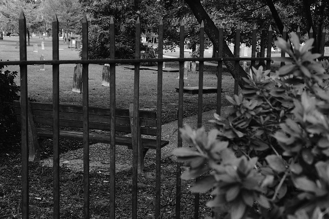 Genteel and Bard's Savannah Dark History and Ghost Encounter Walking Tour - Madison Square and the cost of war