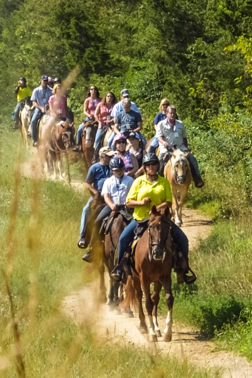 Gettysburg: Licensed Guided Battlefield Horseback Tour - Why horseback is a useful way to see Gettysburg