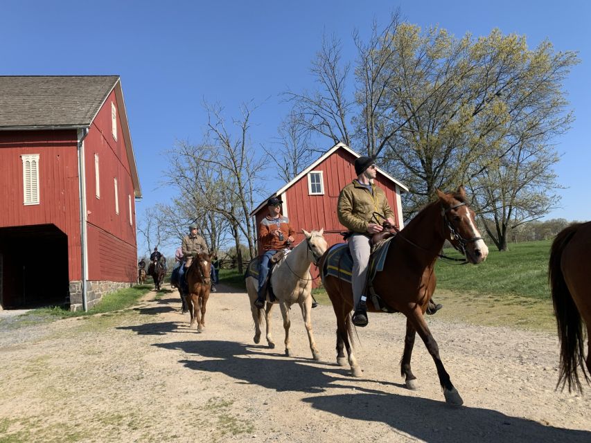 Gettysburg: Licensed Guided Battlefield Horseback Tour - The Virginia Monument and Pickett’s Charge
