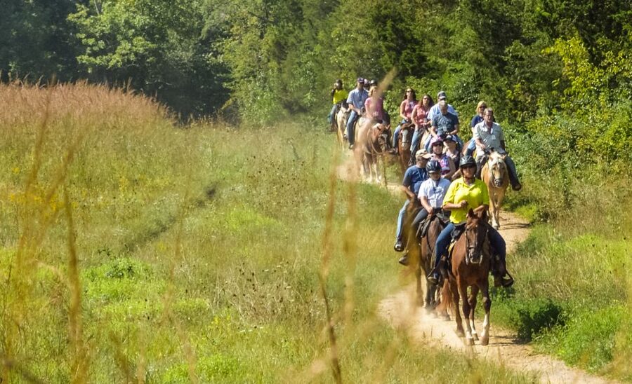 Gettysburg: Licensed Guided Battlefield Horseback Tour - Meeting the horses at McMillan Woods Campground
