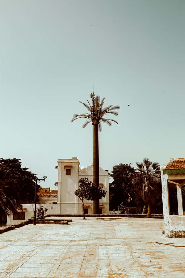 Goree Island: discover Senegalese history and culture - Key points to know before you book