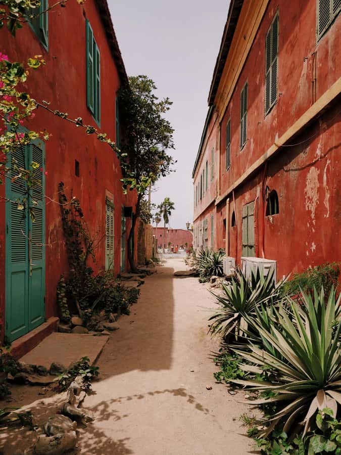 Goree Island: discover Senegalese history and culture - First views: the botanical garden and island streets