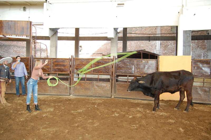 Guadalajara: Mexican Charro and Charreada Cultural Tour - The parade and the charreada arena