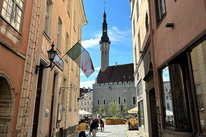 Guided Old Town Tallinn Historical Walking Tour - Danish King’s Garden and Short Leg Street