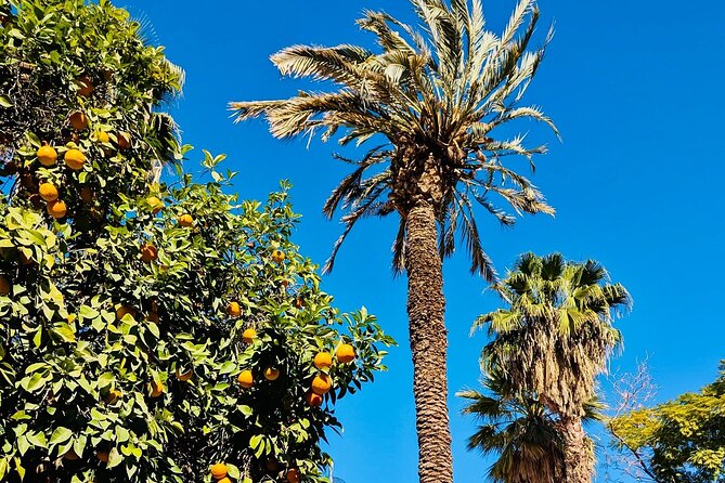 Half Day Guided Tour in Marrakech History & Culture - The souks, from spices to leather