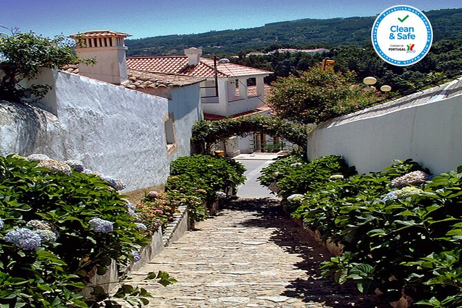 Half Day Historical Tour to Silves and Monchique - Caldas de Monchique and the thermal springs