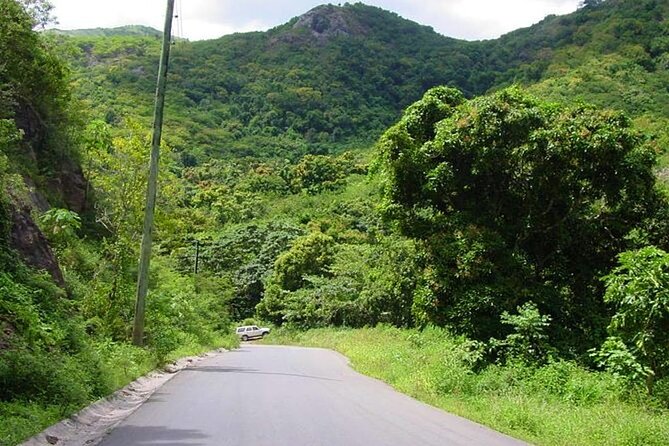 Half-Day Tour: A Taste of Paradise and History of Antigua - The road, the vehicle, and the real timing