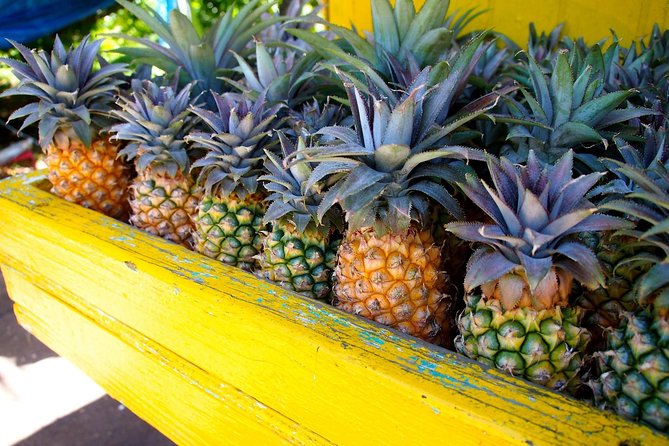 Half-Day Tour: A Taste of Paradise and History of Antigua - Snacks, drinks, and what is not included