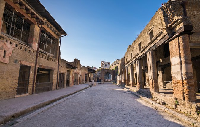 Herculaneum Private Tour with an Archaeologist - The House of the Black Salon and Samnitic House