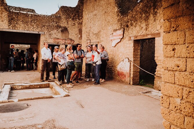 Herculaneum Small Group Tour and Ticket With an Archaeologist - The College of the Augustales and Casa del Rilievo di Telefo