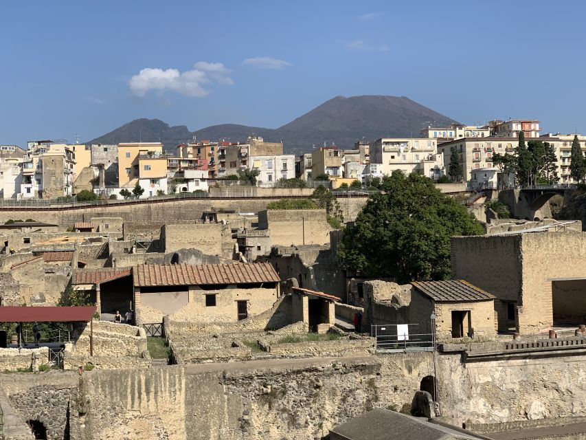 Herculaneum: Tickets & Tour with a Local Archaeologist - Key points before you book