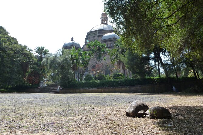 Hidden Treasures of Addis Ababa - Food, Culture and History Tour - Five details that make this Addis day useful