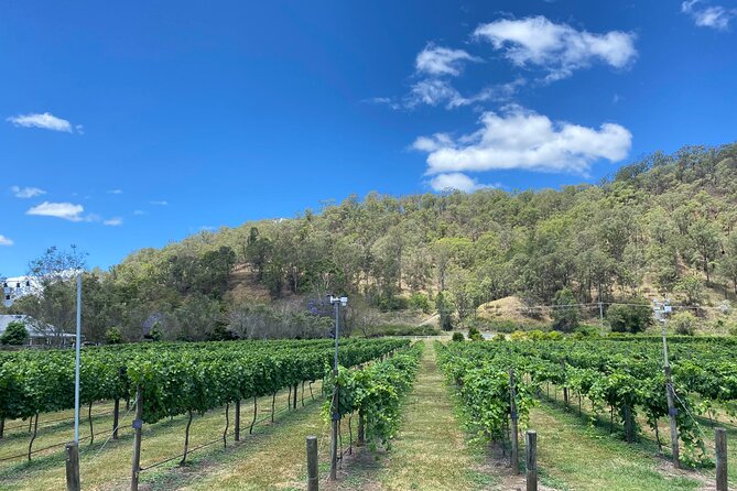 Hinterland Heritage Wine Tour - What the $143.45 price really covers