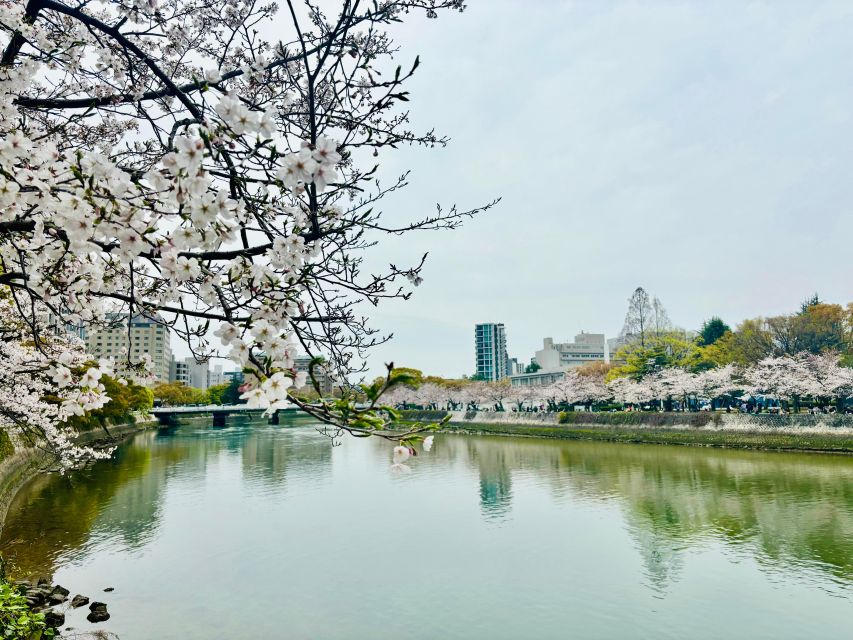 Hiroshima: History of Hiroshima Group Walking Tour - Burial mound and Korean victims’ cenotaph
