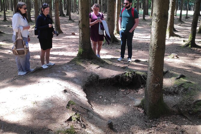 Historic Battle of the Bulge Sites Tour from Brussels - Is the $701.35 price good value?