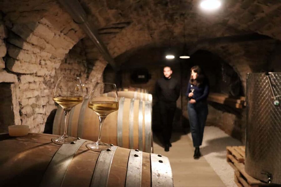 Historic Center of Dijon : Discovery Tasting Wine Burgundy - Starting underground at 32 Rue Berbisey