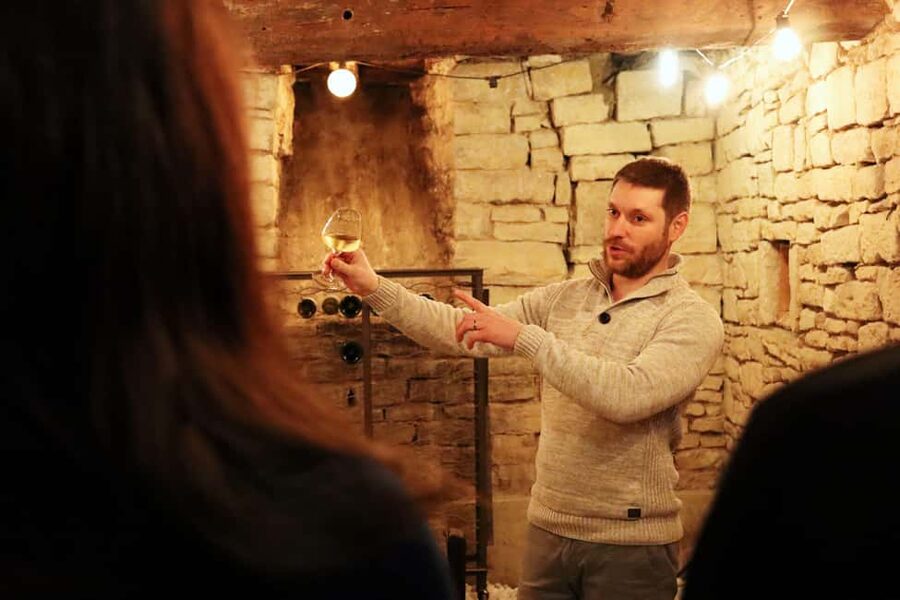 Historic Center of Dijon : Discovery Tasting Wine Burgundy - Learning how Burgundy tastes