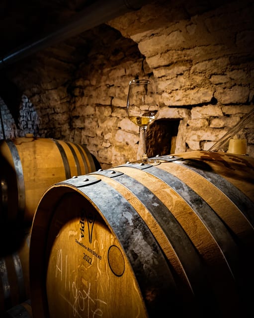 Historic Center of Dijon : Discovery Tasting Wine Burgundy - What the 1.5-hour visit feels like