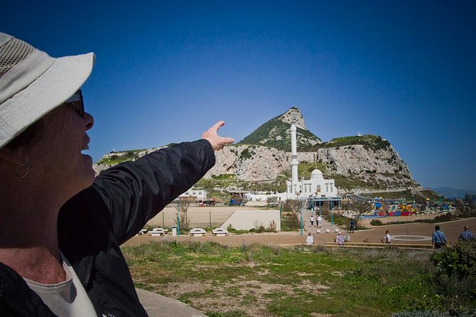 Historic Gibraltar Rock and St Michael's Cave Tour from Seville - Guides, vehicle size, and organization