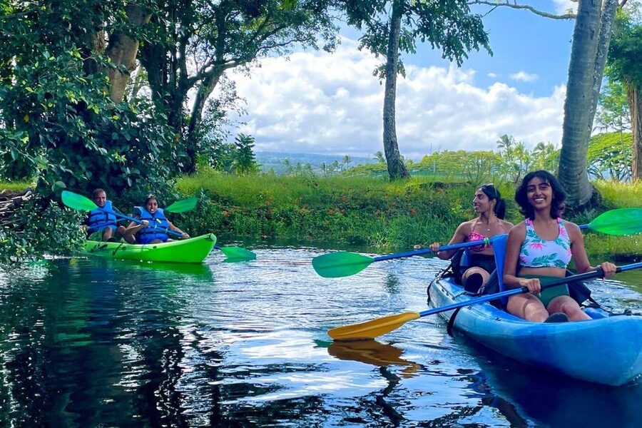 Historic Hilo Bay and Coconut Island Guided Kayak Adventure - Rain, turtles, and the realities of Hilo weather