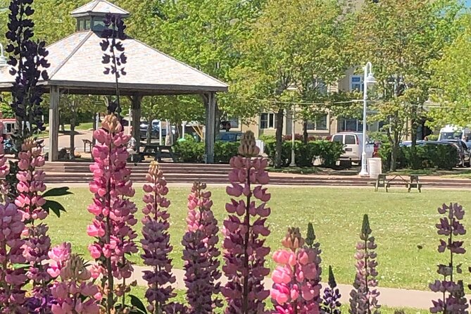 Historic Walking Tour of Charlottetown - Why Charlottetown Works So Well on Foot