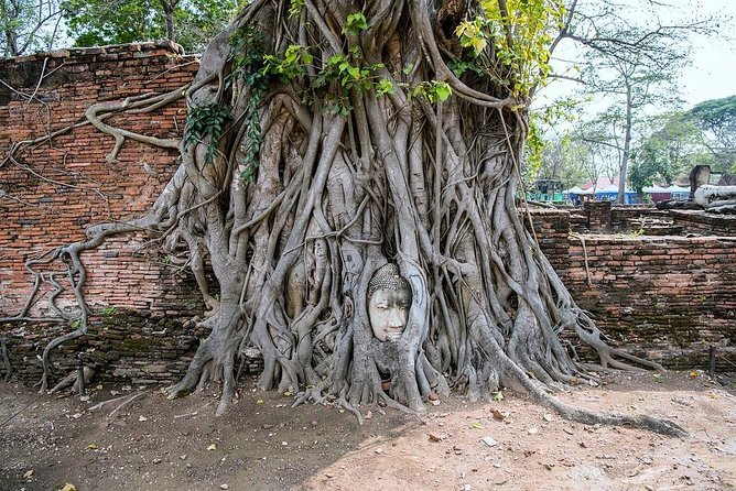 Historical City of Ayutthaya - Unesco Full Day Tour From Bangkok - Wat Mahathat and the famous Buddha head