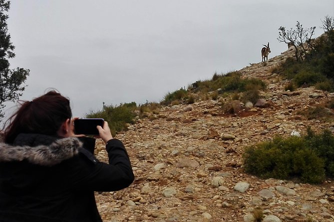 Historical Montserrat Half-Day Hiking Tour from Barcelona - Meeting point, timing, and practical details