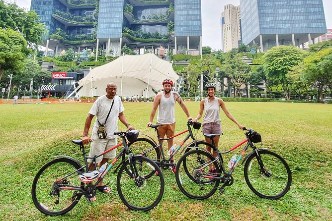 Historical Singapore Bike Tour on Full-Sized Bicycles - Chinatown, temples, and a local snack
