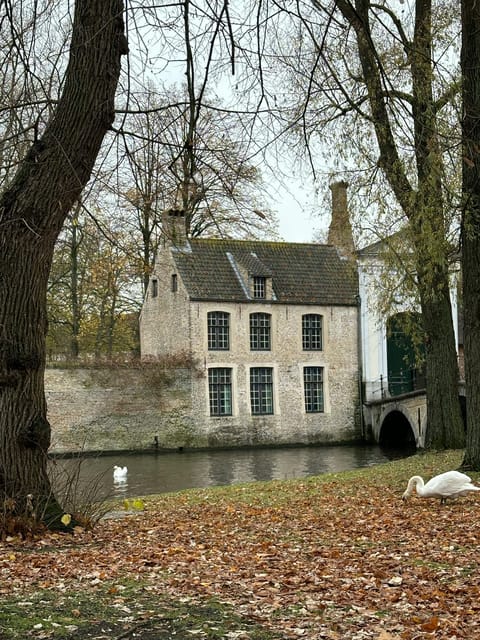 Historical walk in Bruges with local guide. Praline included - Gruuthuyse Castle and the Church of Our Lady