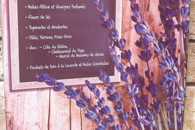History and Van Gogh in Provence from AIX-EN-PROVENCE - Avignon: the Popes’ Palace in a short visit