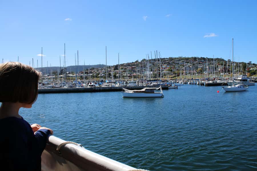 Hobart: Historic Lunch Cruise - Passing under the Tasman Bridge