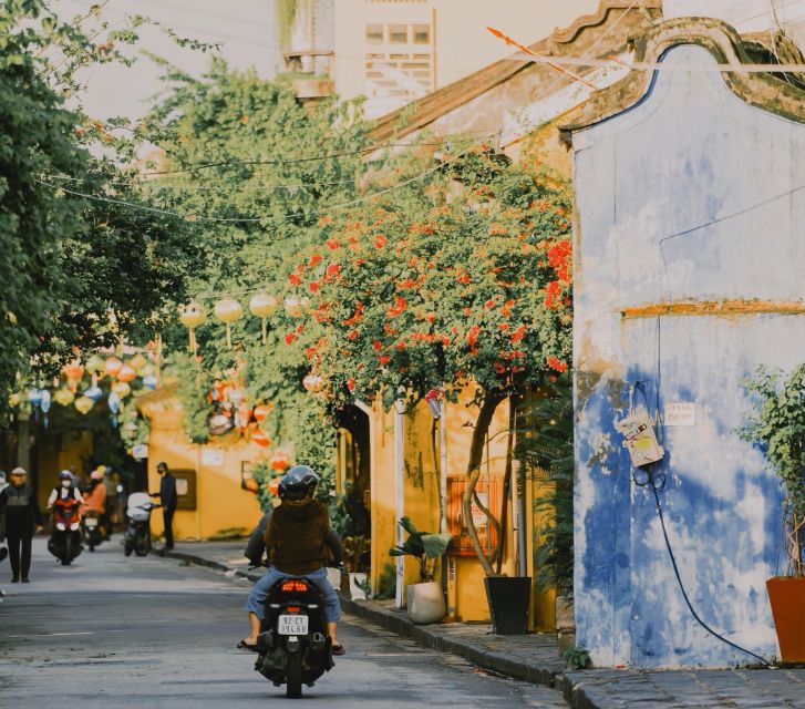 Hoi An: Ancient Town Guided Walking Tour - Japanese Culture Gallery and the Covered Bridge