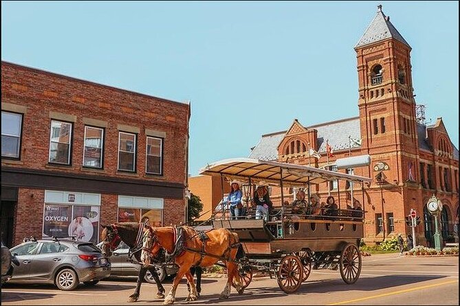 Horse Drawn Historical Guided Tour - Key points to know before booking