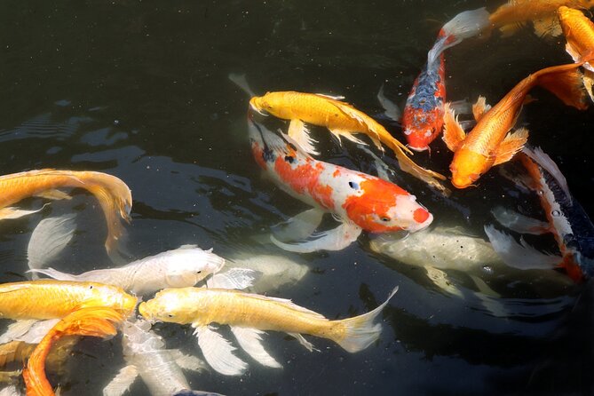 Imperial Palace East Garden and Edo Castle Walking Tour in Tokyo - Why the guide matters more than the admission fee