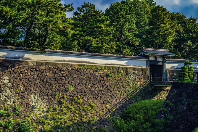 Imperial Palace East Garden and Edo Castle Walking Tour in Tokyo - The walking conditions and pace