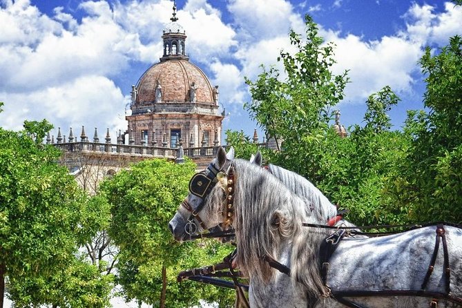 Jerez de la Frontera History and Art Walking Tour - Key points to know before booking