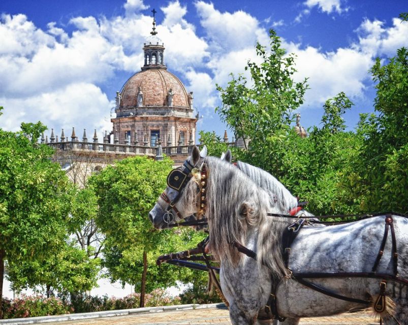 Jerez: Historic Center Guided Tour - Why a walking tour works so well in Jerez